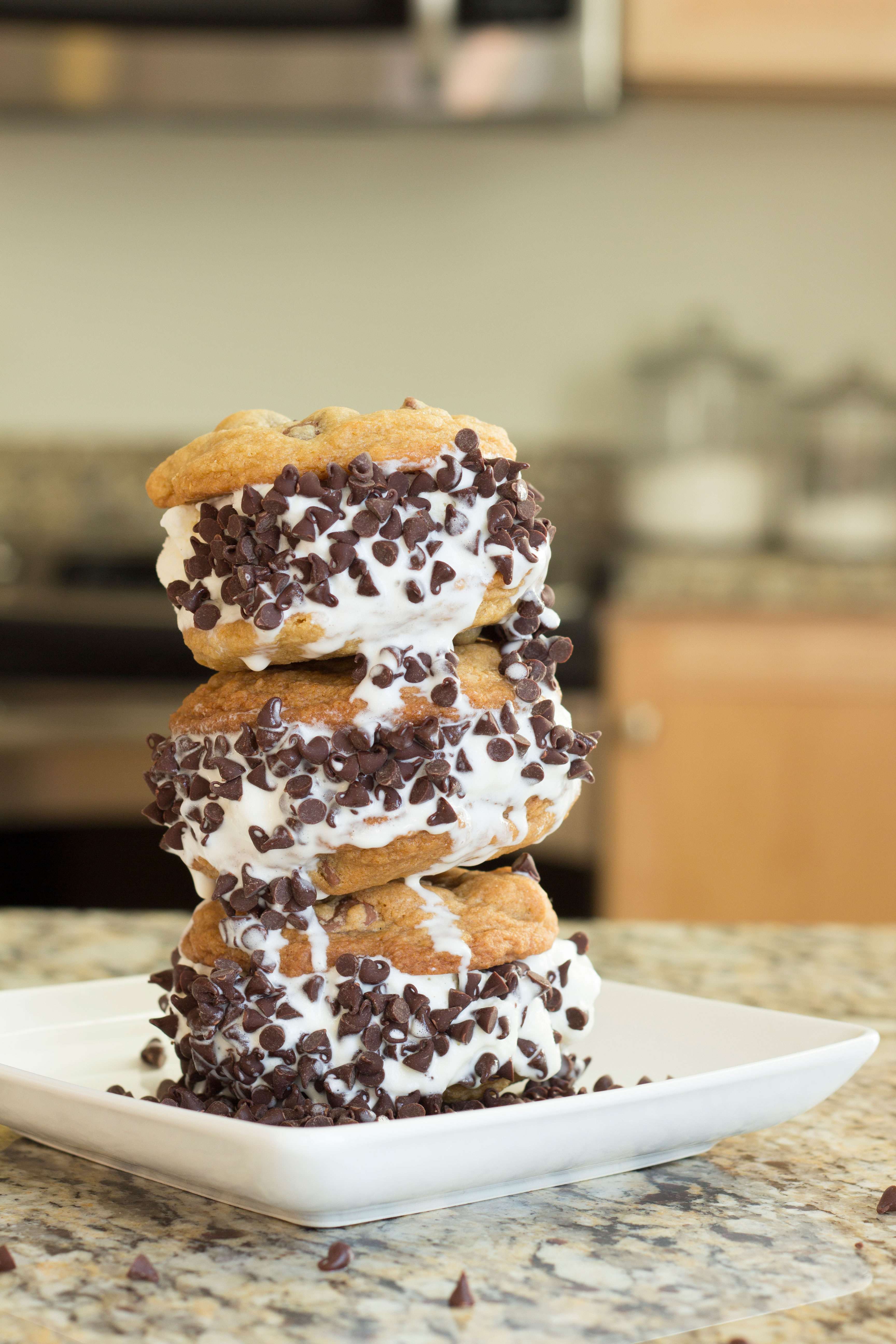 Ice Cream Sandwiches Two